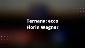 Florin Wagner