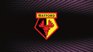 Il Watford Women verso l'acquisizione da parte di Pitch15