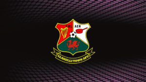 Llanelli Ladies, sciolto il settore femminile